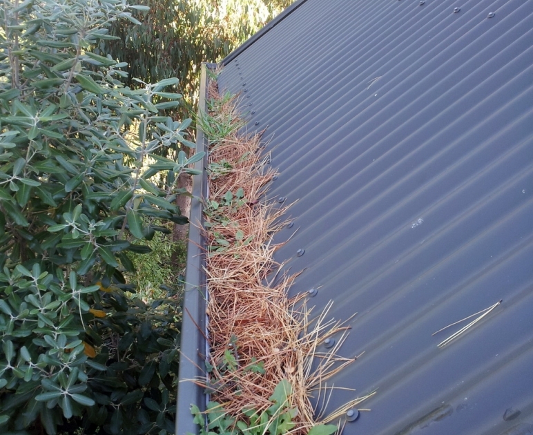 GumLeaf Gutter Guard Installers Tauranga Bay of Plenty